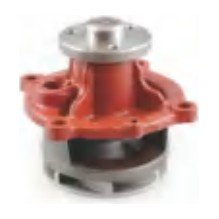 Bomba d'Água – VLS-D01 053