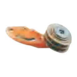 Polia Tensora – VLS-F15 015